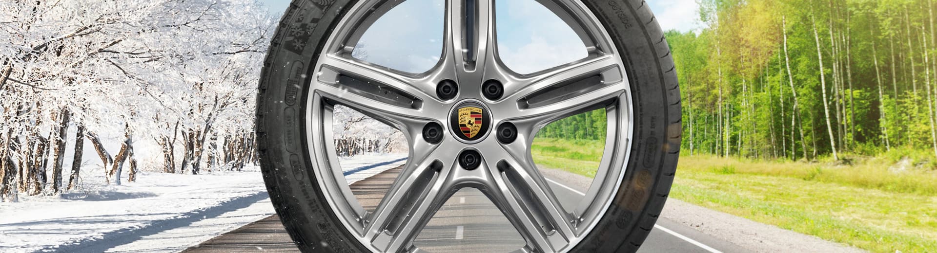 Главное изображение