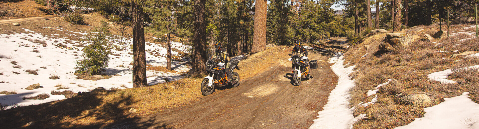 Главное изображение