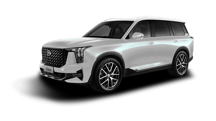 Автомобиль GAC GS8 II поколение 2.0 AT 4WD (231 л.с.) GX Premium Белый 2025
