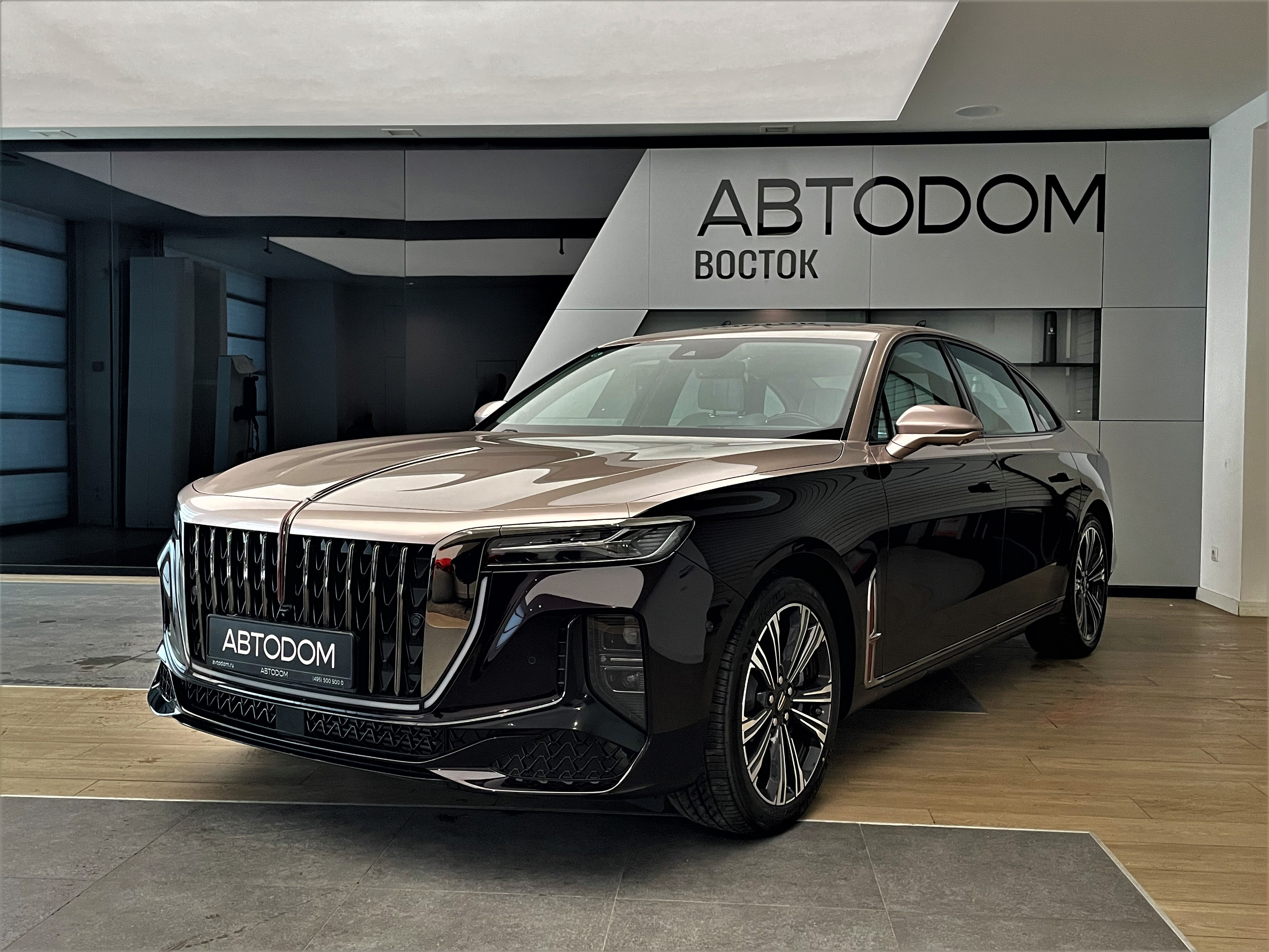 Автомобиль Hongqi H9 I [рестайлинг] 2.0 AMT (245 л.с.) Deluxe Фиолетовый 2024 