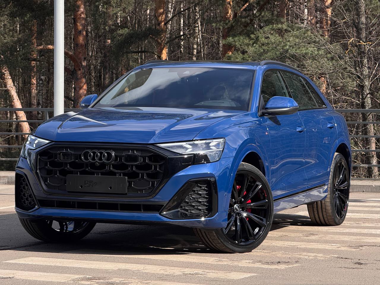 Автомобиль Audi Q8 I (4M) [рестайлинг] 3.0d AT 4WD (249 л.с.) 45 TDI quattro tiptronic Синий 2025 